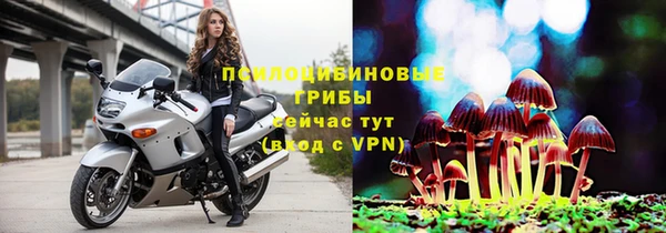 гашик Балабаново