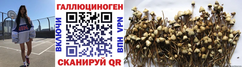 Галлюциногенные грибы Magic Shrooms  ссылка на мегу вход  Ершов 